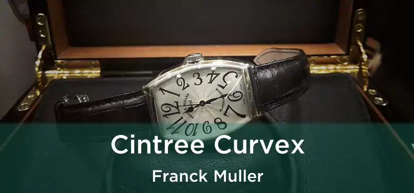  Cintree Curvex Franck Muller