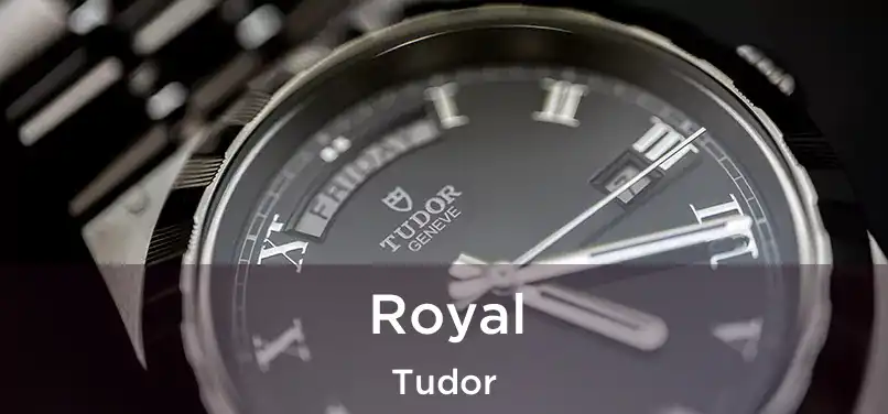  Royal Tudor