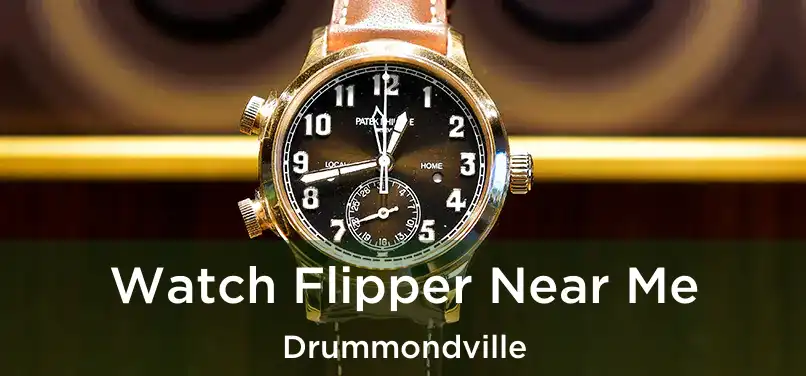  Watch Flipper Near Me Drummondville